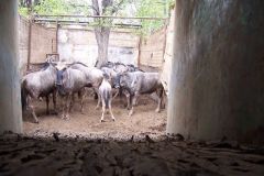 Cornered