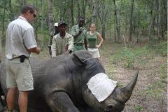 Rhino_Conservation
