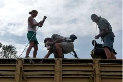 Tranquilising_In_Truck
