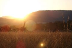 Zimbabwean_Sunset